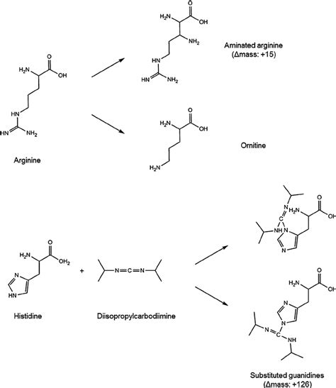 Side chain reactivity. | Download Scientific Diagram