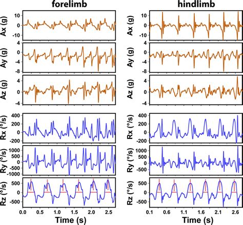 Representative IMU Signals 3 Axis Accelerometer Readings Ax Ay And