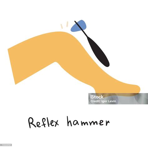 Reflex Hammer Stock Illustration - Download Image Now - Knee, Hammer, Human Nervous System - iStock