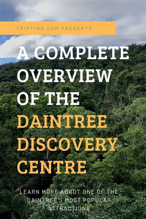 A Complete Overview Of The Daintree Discovery Centre Australia