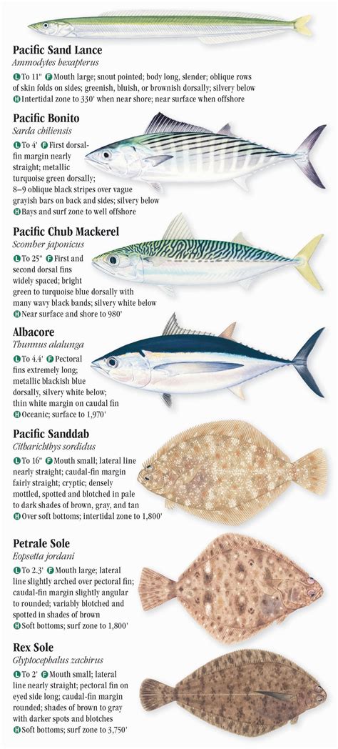 Saltwater Fishes Of The Pacific Northwest Quick Reference Publishing