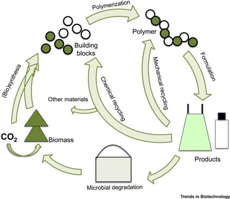 Designing Biobased Recyclable Polymers For Plastics Trends In