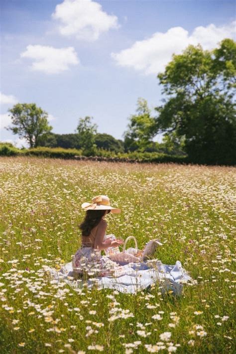 35 Picnic Aesthetic Photoshoot Ideas