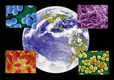 Curiosidades CientÍficas La Tierra Un Planeta De Bacterias