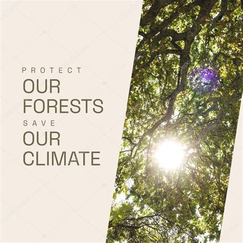 Compuesto De Proteger Nuestros Bosques Y Salvar Nuestro Texto Clim Tico