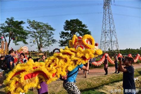 佛山這個生態園不但讓遊客遊玩吃住購樂，還讓遊客學習舞龍獅 每日頭條