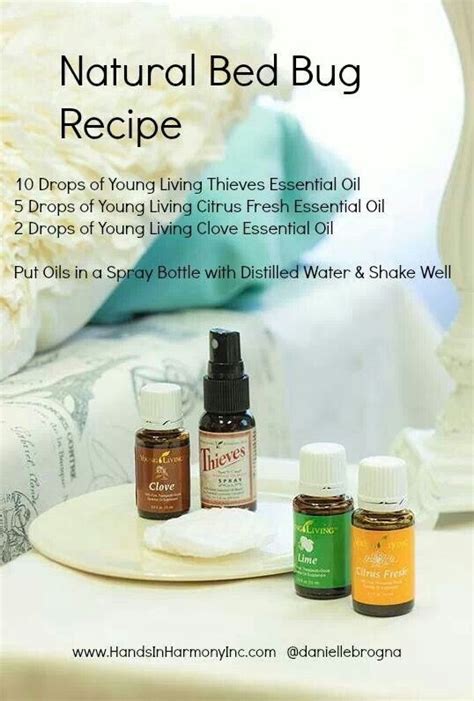 diy essential oil bed bug spray - Dona Rawlins