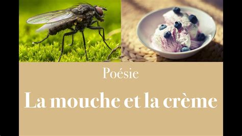 Poésie La mouche et la crème Pierre Gamarra French Poem YouTube