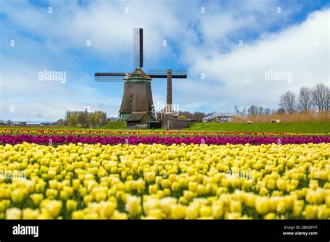 Yellow Windmill Hi Res Stock Photography And Images Alamy