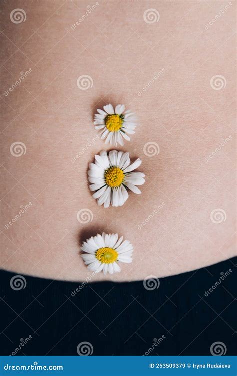 Female Beautiful Tummy With A Chamomile Flower In The Navel Perfect