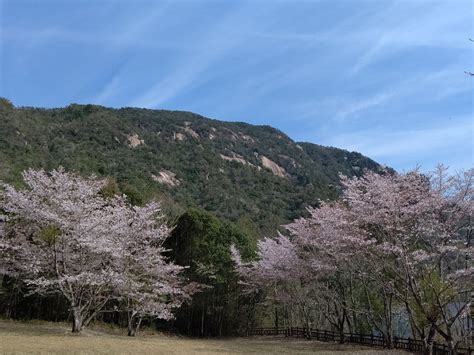 術後183日目 ベージニオ14日目 休み 39歳。2023年3月25日乳がんの告知受けました。