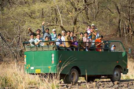 Flora and Fauna In Kanha National Park