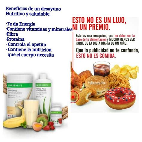 Herbalife La Mejor Nutricion Food Herbalife Breakfast