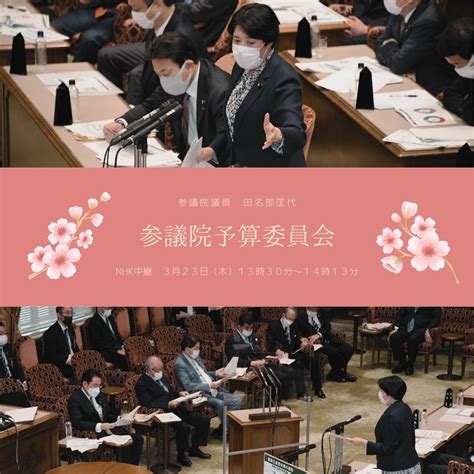 3月23日（木）13時半から約40分間、参議院予算委員会で質問いたします。 たなぶまさよ（タナブマサヨ） ｜ 選挙ドットコム