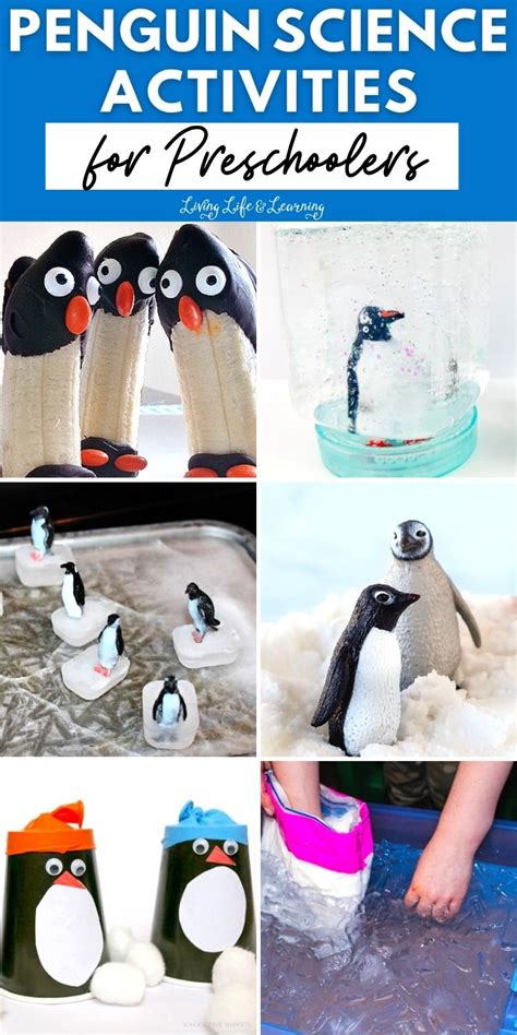 Penguin Science Activities For Preschoolers