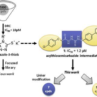 Putative Binding Mode For Compound The Inhibitor Was Docked In The