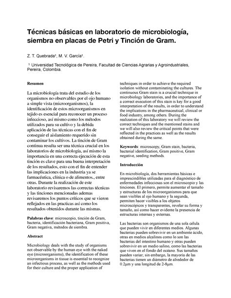 Informe 02 Tinción De Gram Pdf 2 Técnicas Básicas En Laboratorio De Microbiología Siembra En