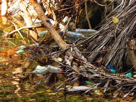 Kawasan Air Terjun Bayan Lepas Dicemari Sampah Sarap Aliran