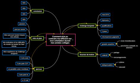 ORAL 2937 MindView Mind Mapping Software