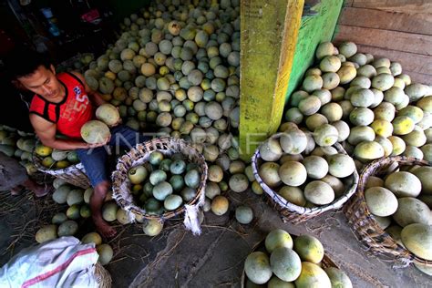 PERMINTAAN MENINGKAT ANTARA Foto