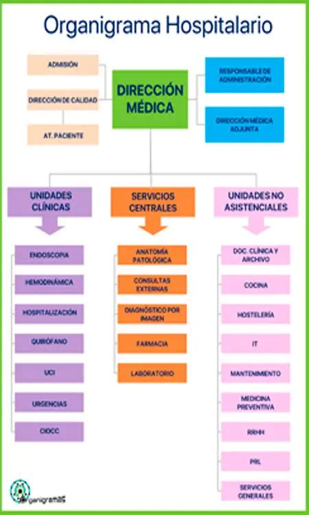 Total Imagen Modelo De Organigrama De Un Hospital Abzlocal Mx