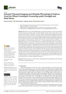 Infrared Thermal Imaging And Morpho Physiological Indices Used For