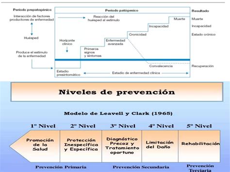 Historia Natural De La Enfermedad Hipertension Arterial Ppt