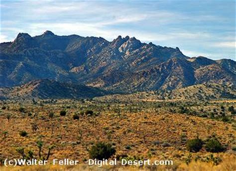 Mojave National Preserve: History, Geology, and Recreation