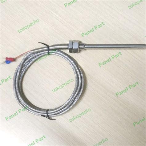 Jual Pt Thermocouple Rtd Pt X M X Mm Kabel Isi Panjang