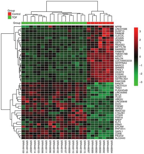 Heat Map Of The Top 50 Differentially Expressed Genes In The Heatmap