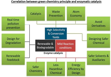 Correlation of Enzymatic Bio-Catalysis with 12 rules of Green ...