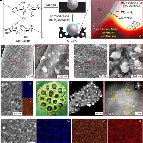 Synthesis Structure And Photothermal Response Of Coc Catalysts