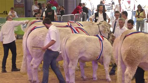 Championne 2018 Herd Book Charolais