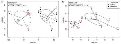 Bg Relations Ecophysiological Characteristics Of Red Green And