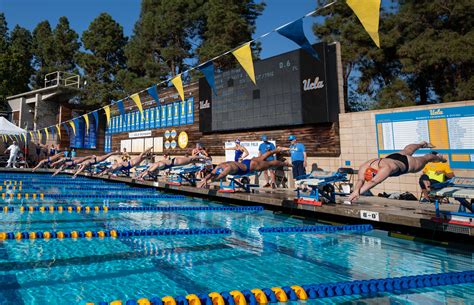 Ucla Swim And Dive To Divide And Conquer Consecutive Season End