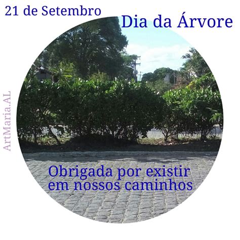 Dia da Árvore ArtMaria Artes Carinho