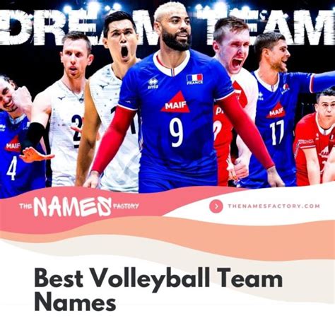 480 Funny Volleyball Team Names Top Names For Your Squad