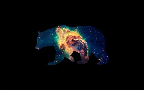 Space Bear Wallpapers Top Free Space Bear Backgrounds Wallpaperaccess