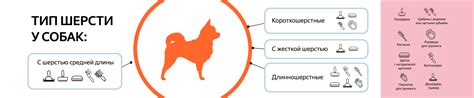 Инструменты груминга для собак – цены, купить товары для собак и щенков ...