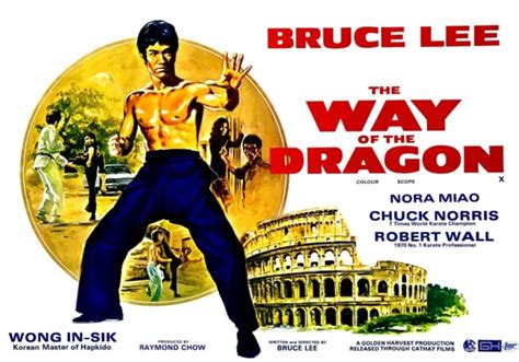 DOMESTIQUE MURAL ART Print Vintage Film Poster Bruce Lee Voie De L