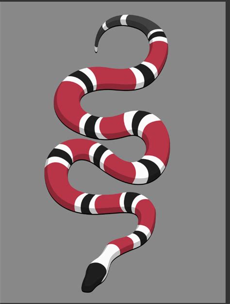 Snake Graphic Design