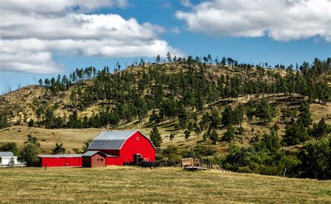 Free Images Landscape Tree Nature Forest Grass Wilderness Field