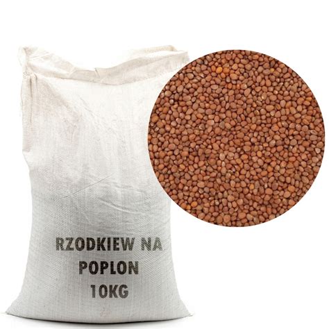 Rzodkiew Oleista 10kg Niska Cena Na Allegro Pl