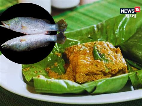 Barramundi Bhetki Fish Side Effects ভেটকি ভালোবাসেন কিন্তু এই মাছ