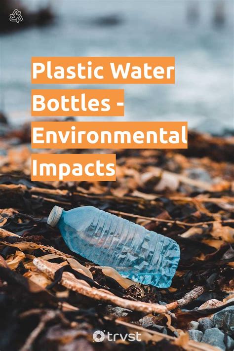 Plastic Water Bottles - Environmental Impacts in 2024 | Water bottle ...