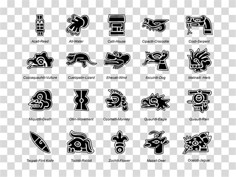 Premium Aztec Glyphs Bundle Includes 9 File Formats For Design Print