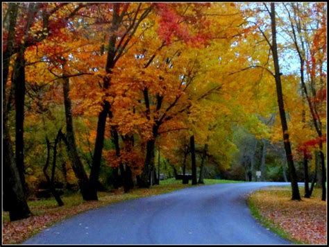 Autumn In Grove City Pa Grove City Beautiful Places Places To See