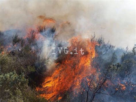 Dichiarato lo stato di grave pericolosità per gli incendi boschivi IVG it