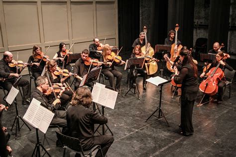 Noticias Mr La Orquesta De Cámara Municipal Brindó Exitoso Concierto En La Comedia