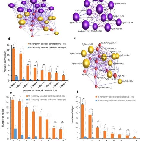 Biological Impacts Of The Snpindel Mutations Of The 22 Det Iiis On Rb1